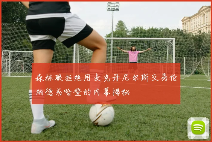 森林狼拒绝用麦克丹尼尔斯交易伦纳德或哈登的内幕揭秘