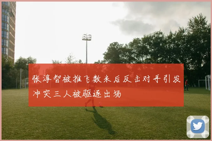 张淳智被推飞数米后反击对手引发冲突三人被驱逐出场
